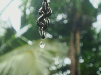 Low angle view of water