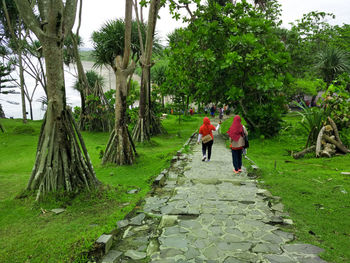 People walking on palm trees