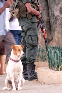 Low section of man with dog standing outdoors