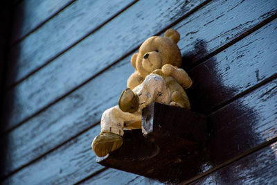 Close-up of stuffed toy on wooden table
