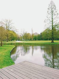 Reflection of trees in calm lake