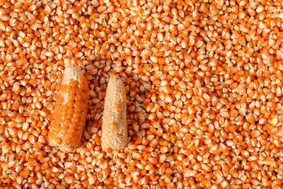 Full frame shot of corn