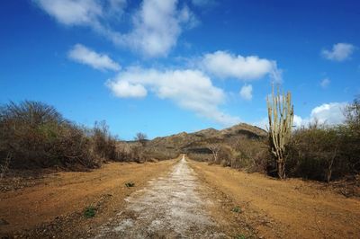 Country road passing through landscape