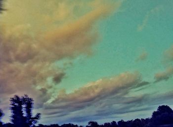 Low angle view of silhouette trees against sky