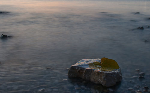 High angle view of rocks on beach