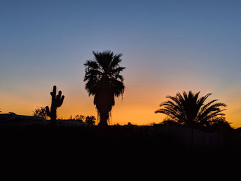 Silhouette person standing by palm trees against sky during sunset