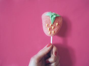 Close-up of hand holding pink rose