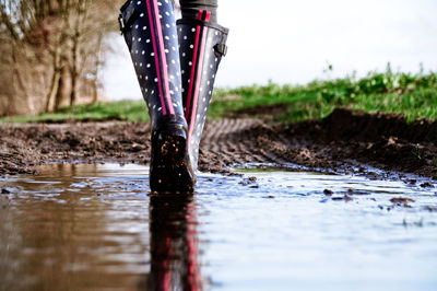 Close-up of puddle