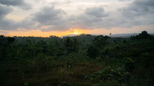 Scenic view of landscape against sky during sunset