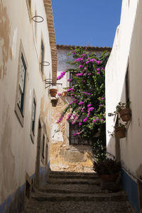 Alley amidst houses and buildings against sky