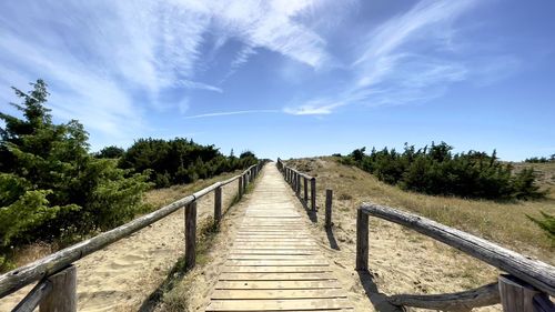 Footpath amidst trees against sky at beach 