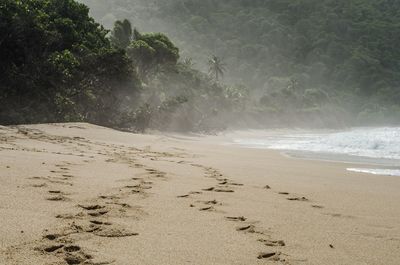 Scenic view of beach