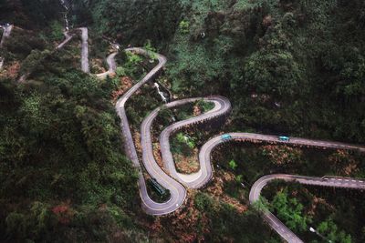 High angle view of winding road amidst trees in forest