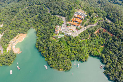 High angle view of trees by sea