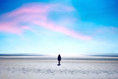 Rear view of man standing on beach against sky