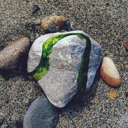 High angle view of snake on beach