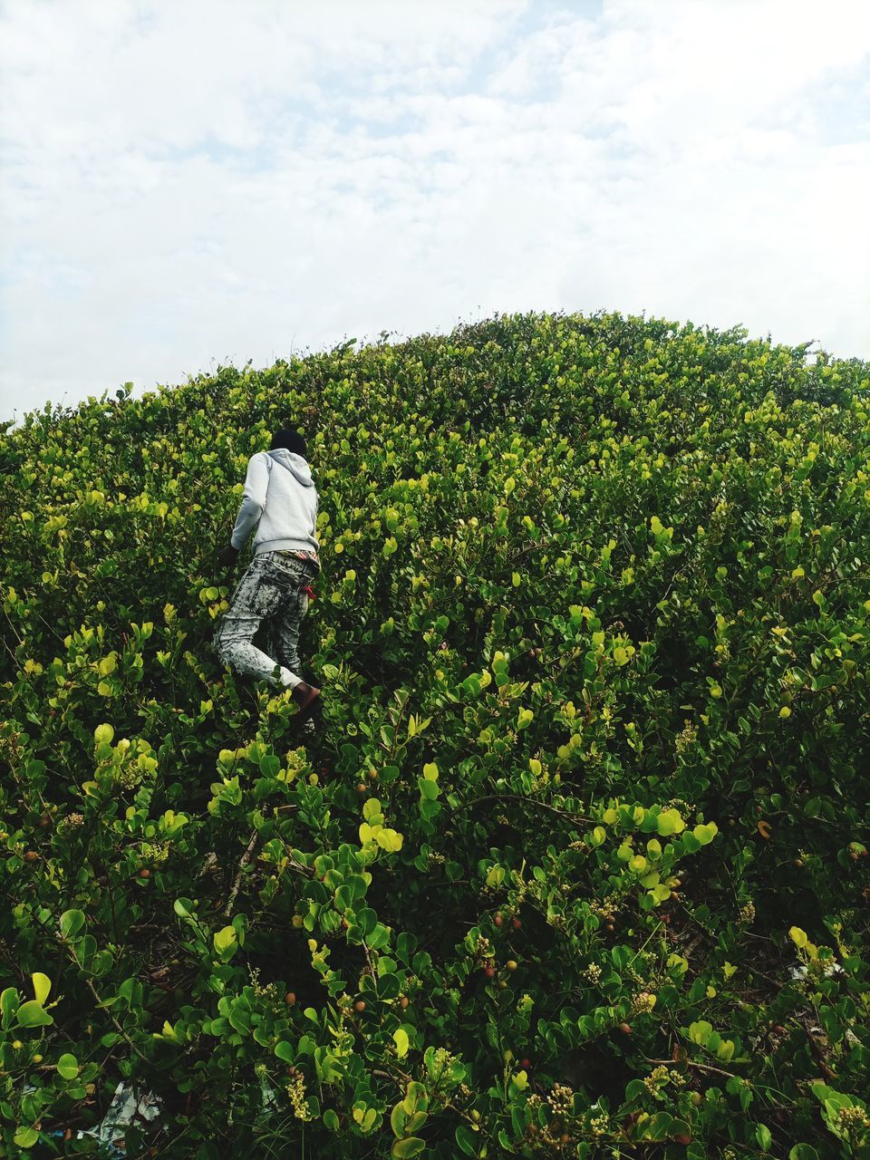 VIEW OF PERSON ON FIELD