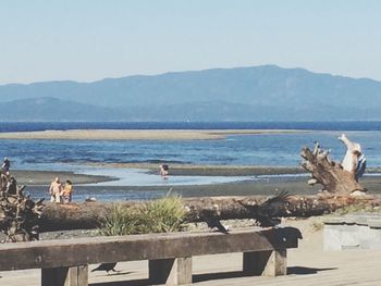 View of birds on beach against clear sky