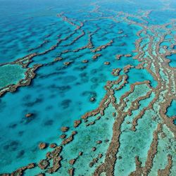 Scenic view of whitsundays island