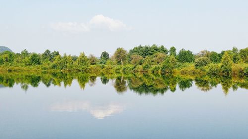 Scenic view of lake in forest against sky