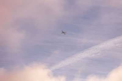 Low angle view of airplane flying in sky