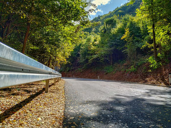 Road amidst trees in forest