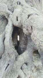 Full frame shot of stone wall