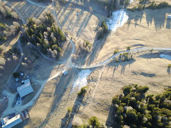 High angle view of trees