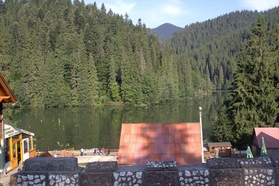 Scenic view of lake in forest against sky