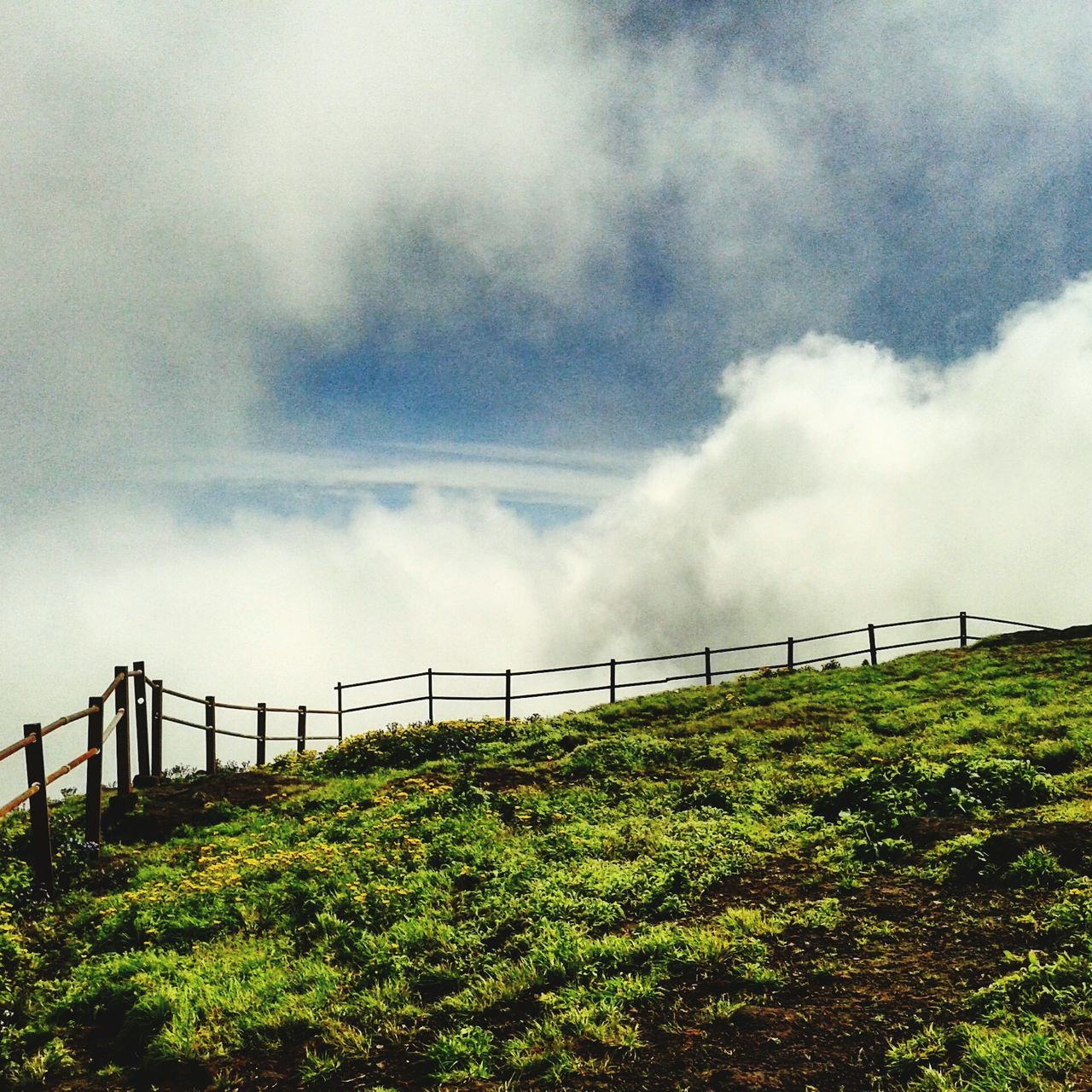 sky, grass, fence, cloud - sky, field, cloudy, grassy, green color, nature, tranquility, landscape, cloud, railing, tranquil scene, growth, beauty in nature, day, protection, plant, scenics