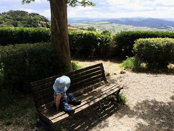 Rear view of woman sitting on bench