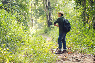 Man standing on footpath in forest