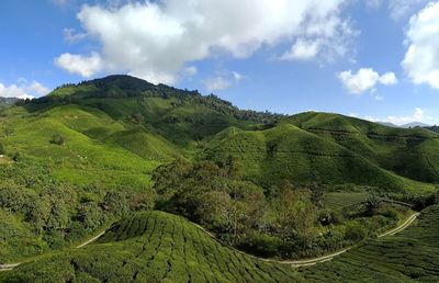 Scenic view of landscape against sky