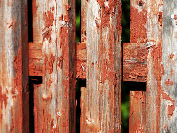 wood