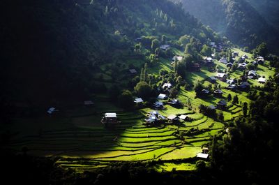 High angle view of agricultural field