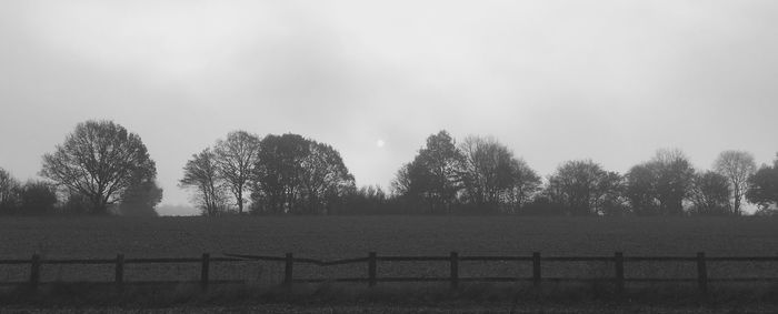 Trees on field against sky