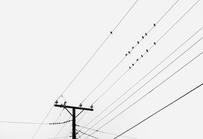 Low angle view of birds on a wire on a foggy day