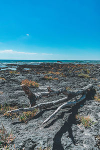 Scenic view of sea against blue sky