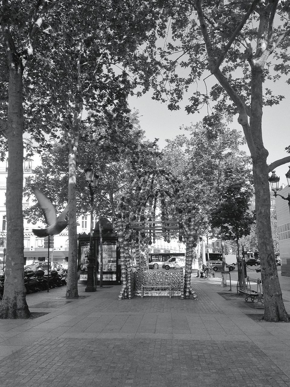 tree, bench, tree trunk, empty, park - man made space, growth, absence, branch, chair, sunlight, park bench, shadow, tranquility, nature, park, day, footpath, outdoors, the way forward, seat