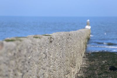 Close-up of concrete on beach