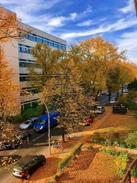 Trees by plants in city against sky during autumn