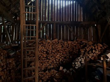 Stack of logs in forest