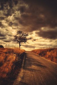 Country road at sunset