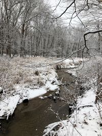 View of bare trees on snow covered landscape