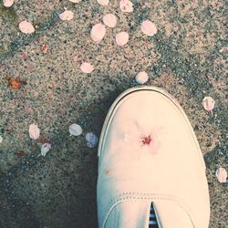 Person standing on tiled floor
