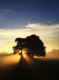 Silhouette trees on landscape against sky at sunset