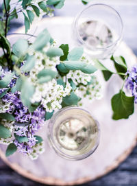 Close-up of food on table