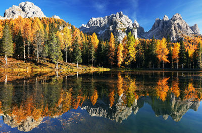 Scenic view of lake by trees during autumn