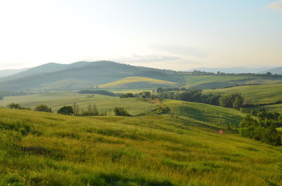 Scenic view of field against sky