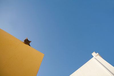 Low angle view of building against blue sky